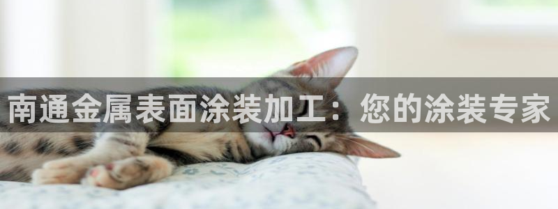 美高梅会员卡级别介绍