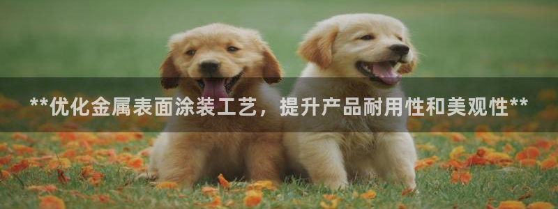 美高梅酒店自助