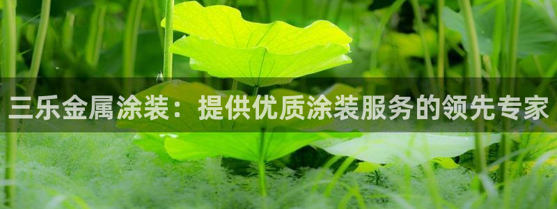 美高梅酒店可以赶海吗