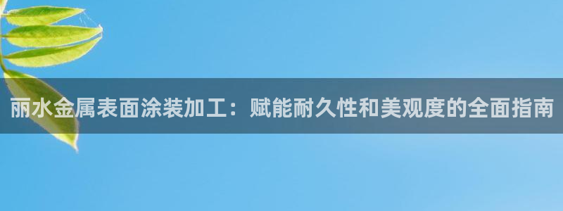 美高梅控股有限公司