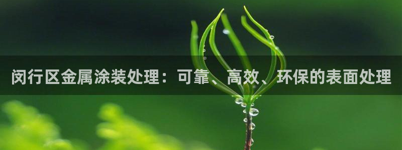 美高梅是做什么的