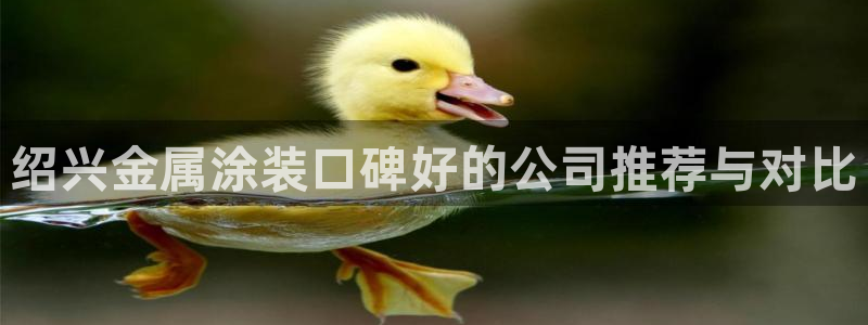 美高梅档次