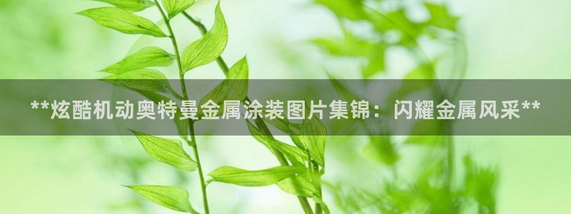 美高梅国际集团简介