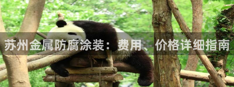 美高梅是谁的?