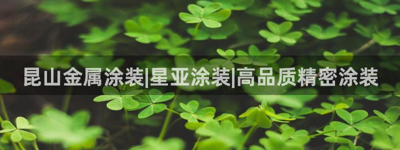 美高梅大酒店老板是谁