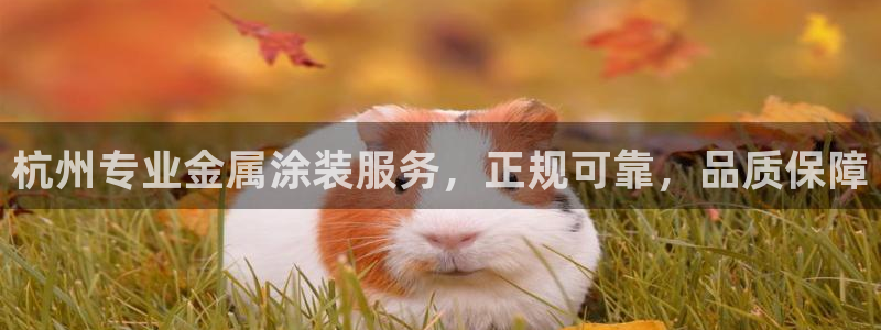 美狮美高梅酒店是几星级