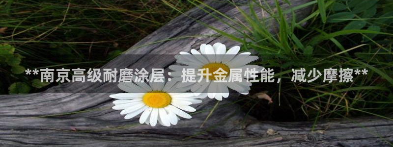 美高梅档次