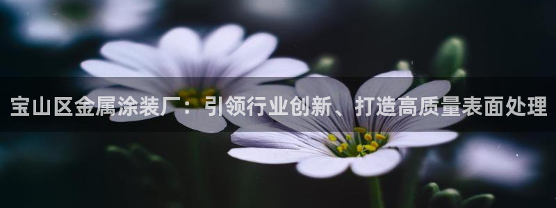 美高梅物业管理有限公司