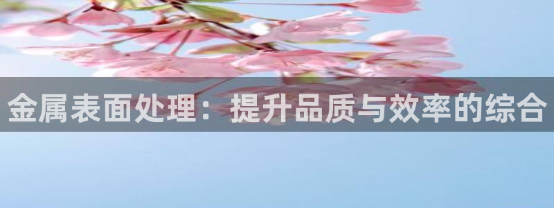 美高梅会员卡等级有什么用