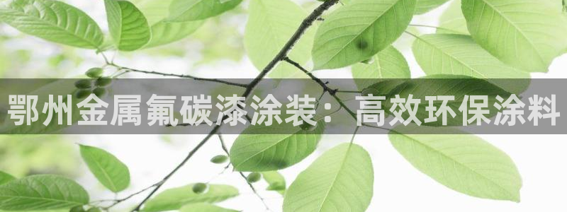 美高梅入职面试
