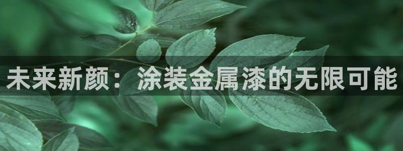 美高梅直营高