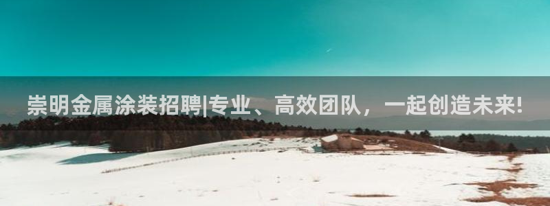 美高梅何超琼年薪