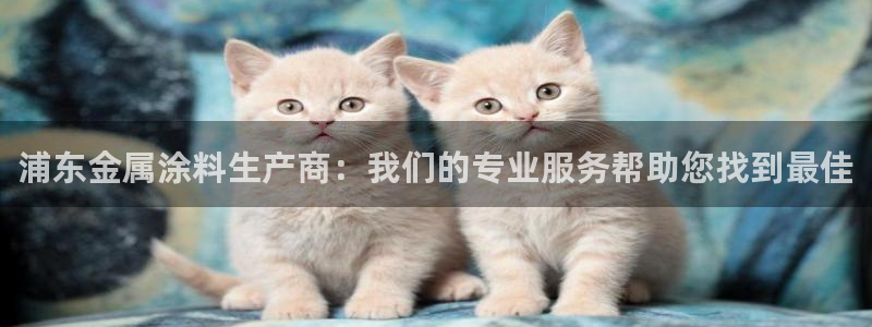 美高梅会员等级怎么分