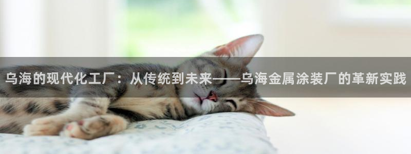 美高梅酒店入住率
