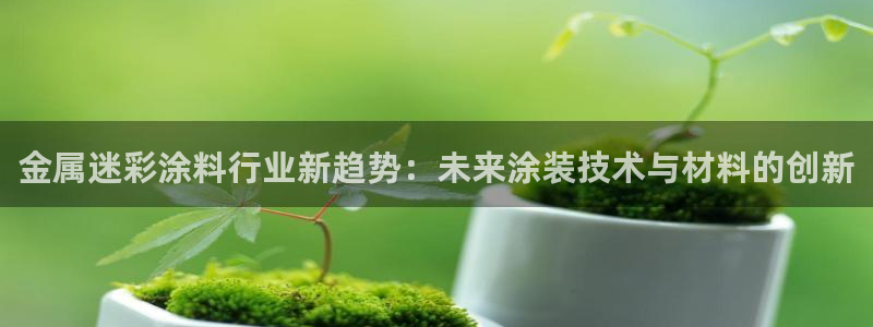 美高梅酒店英文名