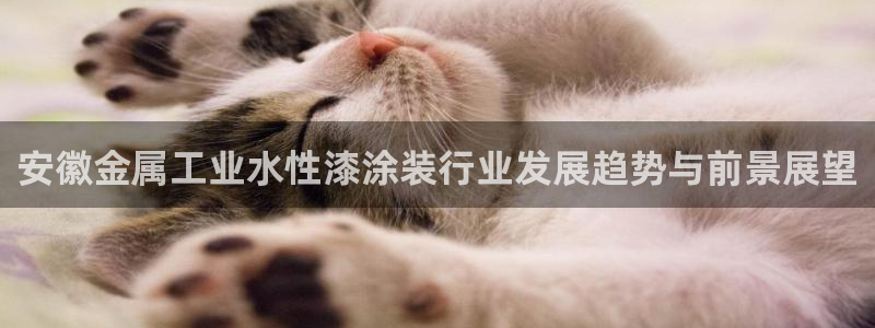 美高梅和米高梅是一家公司吗