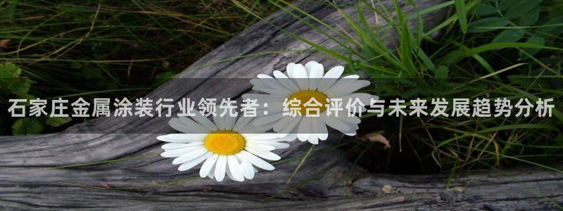 美狮美高梅酒店房间