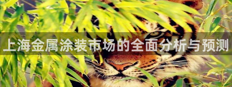 美高梅酒店到南海观音