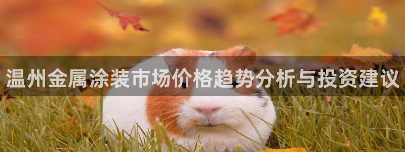 三亚美高梅酒店老板是谁