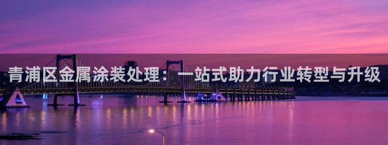 美高梅酒店何超琼