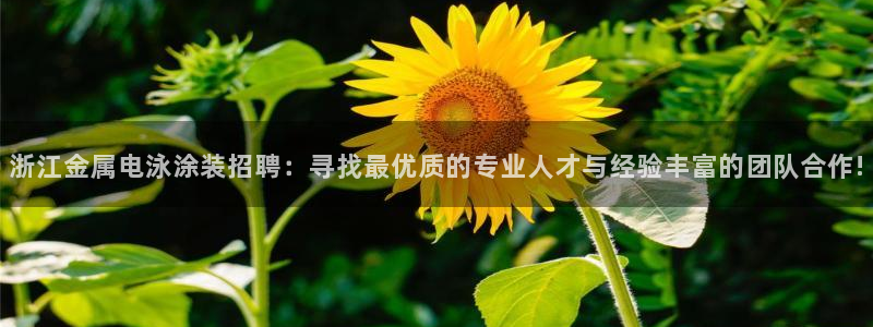 美高梅是干什么的