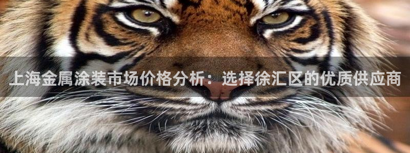 美高梅股票中国