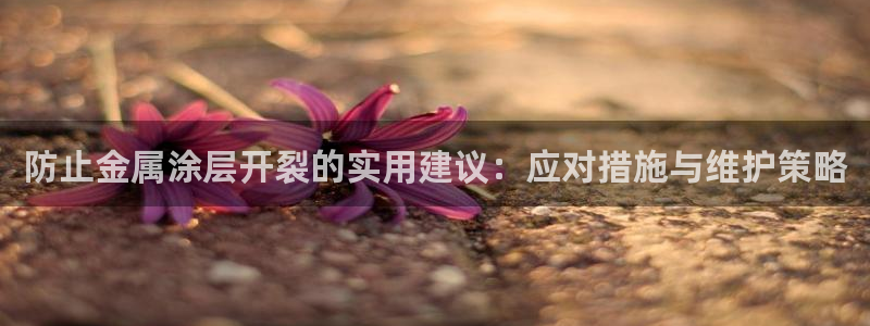 美高梅大酒店是多少星级的