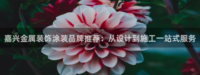 美国美高梅酒店集团
