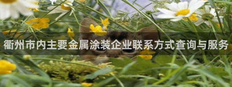 美高梅会员卡办理要提供港澳通行证吗