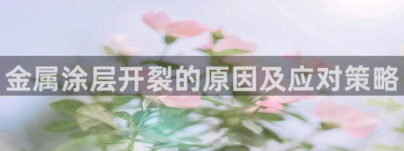 美高梅公司简介怎么写