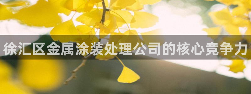 美高梅会员卡级别黑卡：徐汇区金属涂装处理