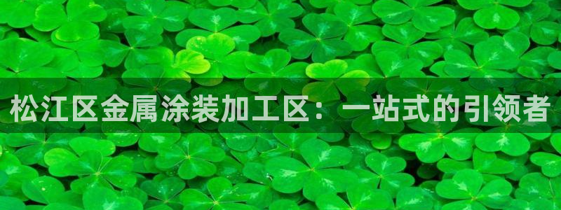 美高梅大酒店哪些省份有