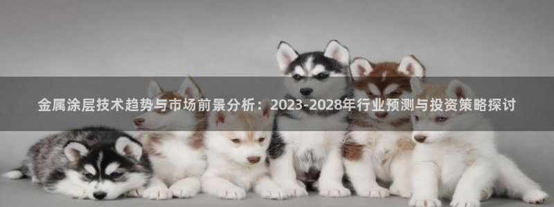 美高梅会员卡如何申请