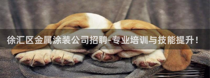 美高梅直营高