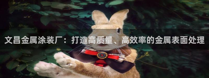 美高梅是个什么公司