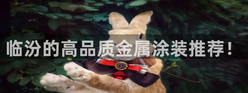 美高梅别墅地址