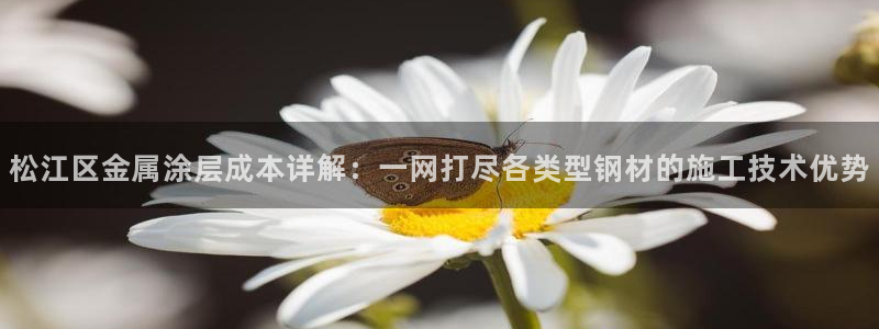 美高梅金狮贵宾会宾至如归显
