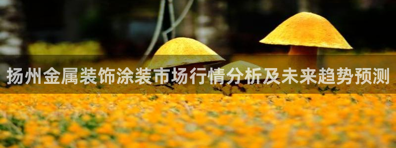 美高梅酒店排名