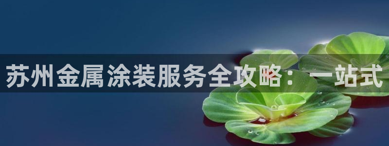 美高梅属于哪个公司