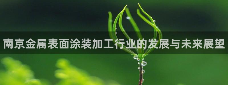 美高梅酒店几星级的