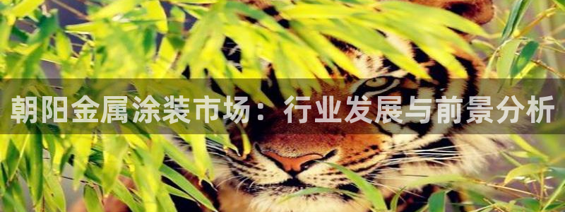美高梅海上城堡门票