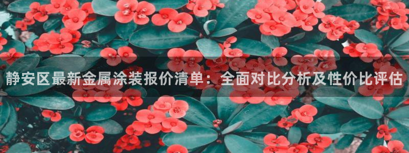 美高梅酒店的包可以拿走吗