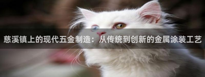 美高梅别墅售楼处