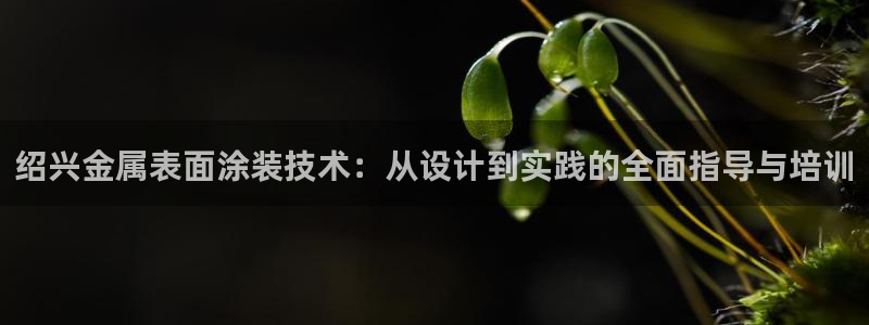 美高梅酒店香氛