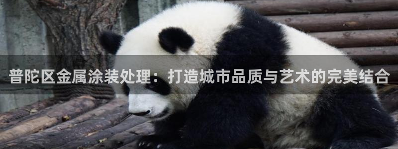 美高梅官网招聘