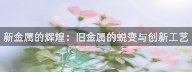 美高梅筹码图片