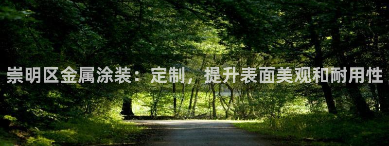美狮美高梅酒店港澳快线
