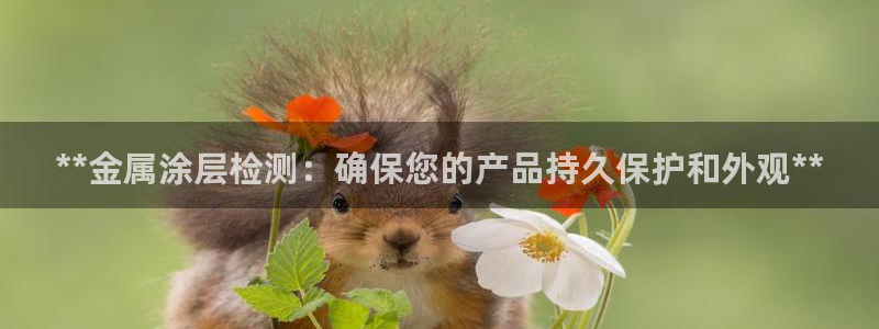 美高梅大酒店简介
