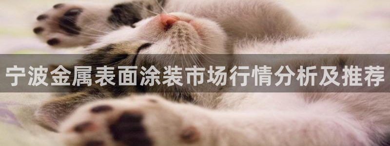 美高梅官网版是正品吗