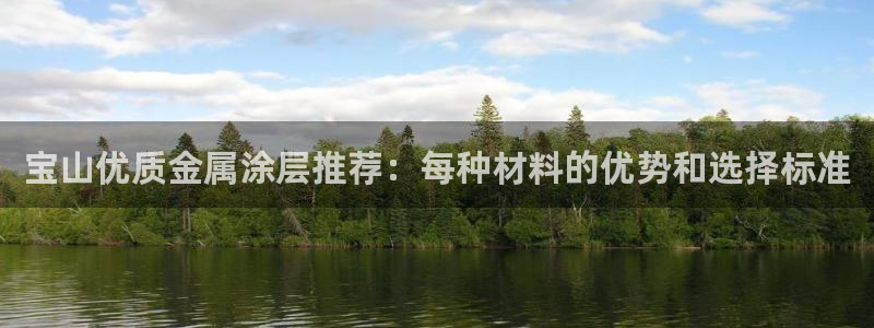 美狮美高梅酒店集团